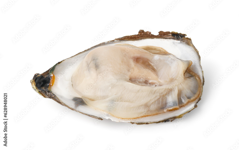 Fresh Opened Oyster on White Background with clipping path. , Delicacy of the Ocean Seafood Industry. Fresh Opened Oyster on White Background with clipping path. , Delicacy of the Ocean Seafood Industry.