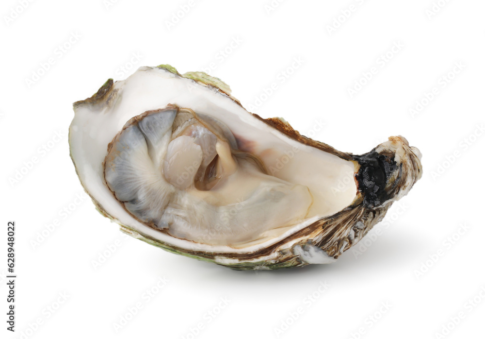 Fresh Opened Oyster on White Background with clipping path. , Delicacy of the Ocean Seafood Industry.