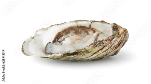 Fresh Opened Oyster on White Background with clipping path. , Delicacy of the Ocean Seafood Industry.