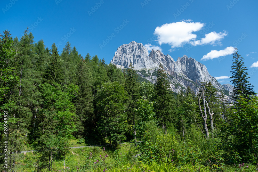 Obraz premium Mühlsturzhörner im Klausbachtal bei Ramsau, Berchtesgadener Land, Oberbayern, Bayern, Deutschland