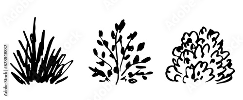 Simple black outline vector drawing. Various bushes, grass and vegetation. Nature and landscape. Foliage and branches.