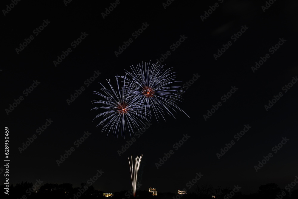 狭山市入間川七夕まつり納涼花火大会 Sayama City Irumagawa Tanabata Festival Noryo Fireworks Display 狭山市入間川七夕まつり納涼花火大会 Sayama City Irumagawa Tanabata Festival Noryo Fireworks Display