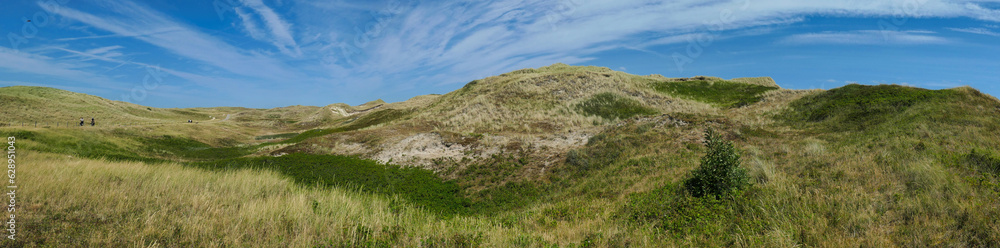 Dünenlandschaft (Panoramabild)