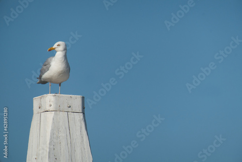 M  ve im Hafen 