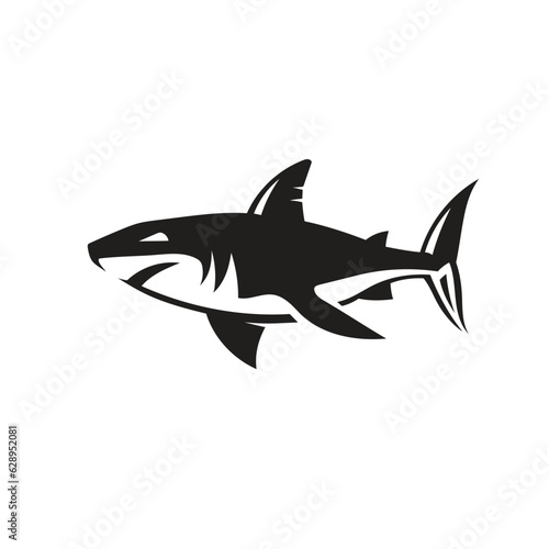 Vector of shark on white background