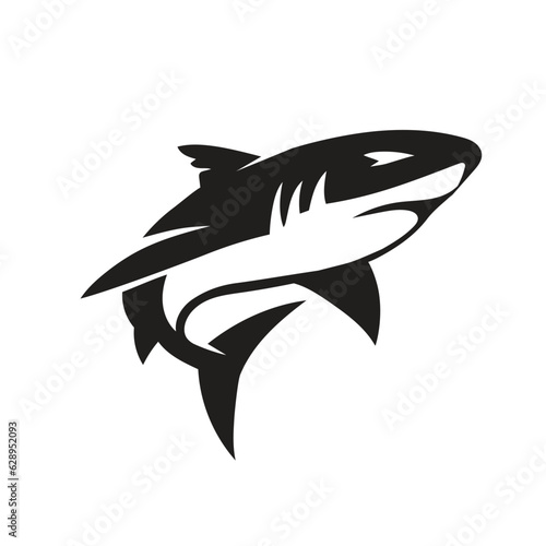 Vector of shark on white background
