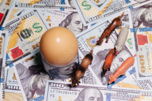 Huevo encima de dolares americanos, concepto de inflacion, alza de precios en productos alimenticios.
