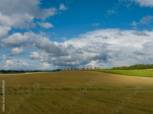 Ruins of an ancient building that looks like Stonehenge Field of sunflowers and cornflowers on a sunny summer day  Smiltene  Latvia