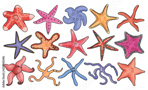Sea starfish vector color set icon. Vector illustration marine star on white background. Isolated color set icon sea starfish.