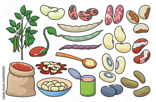 Bean of food vector illustration on white background .Isolated color set icon soybean.Vector color set icon bean of food.