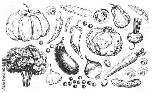 Set of vegetables sketches. Black and white collection of vegetables. Broccoli, eggplant, onion, mushrooms, zucchini, peppers, garlic, peas, tomatoes, carrot, beetroot, cabbage, pumpkin, cauliflower