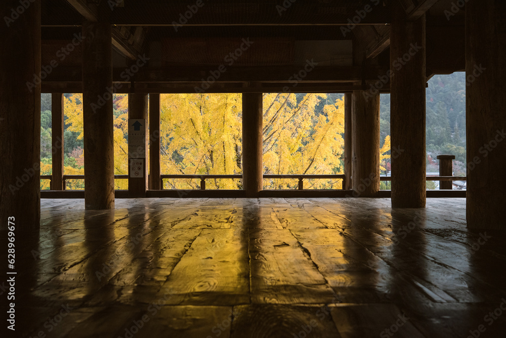 Φωτογραφία 豊国神社（千畳閣）から見た黄葉したイチョウの木　広島県・宮島　Autumn yellow gingko tree viewed from Senjokaku (