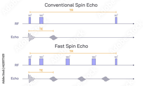 Gradient echo sequences, radiology reference article images, MRI physics, Pulse sequence rephasing and de phase gradient decay. Recalled echo. RF, Slice, Phase, readout, echo, time.