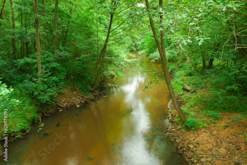 Fototapeta Naklejka Na Ścianę i Meble -  Gęsty, liściasty, zielony las. Pomiędzy drzewami płynie rzeka tocząc brązową wodę. Brzegi porośnięte są trawą. Rzeka jest nieuregulowana.