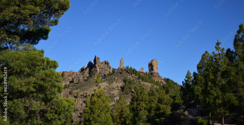 Pine forest in the foreground and Roque Nublo with blue sky in the background, Gran Canaria, Canary Islands