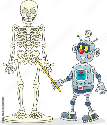 Funny robot explaining a structure of a human skeleton at an Anatomy lesson in a school class, vector cartoon illustration on a white background