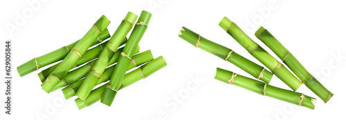 Green bamboo isolated on white background with full depth of field. Top view. Flat lay