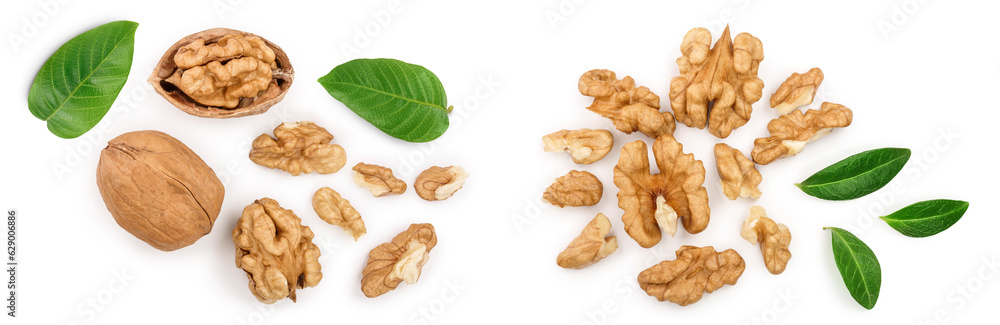 Walnuts isolated on white background. Top view. Flat lay Walnuts isolated on white background. Top view. Flat lay