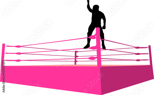 Obraz na plátně lucha libre, lucha, lucha libre mexicana, mexico, arena, coliseo, arena coliseo,