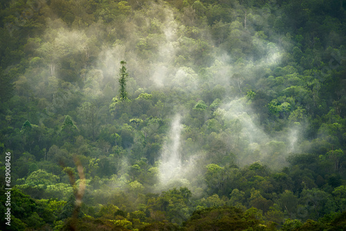 Blue River Provincial Park (Parc provincial de la Rivière Bleue), in Yaté Commune, South Province, New Caledonia, tropical landscape with haze, maquis shrubland, tropical rainforest