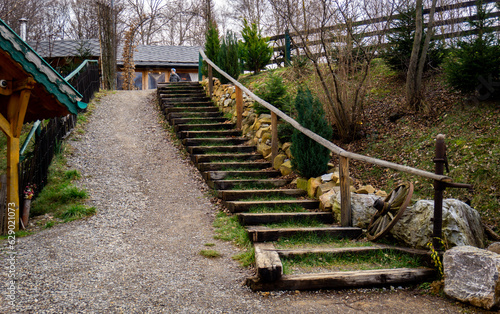 wooden bridge in the forest