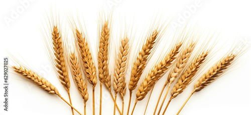 wheat ears on a white background. Generative Ai. 