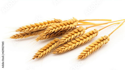 golden ears of wheat on white background top view. Generative Ai. 