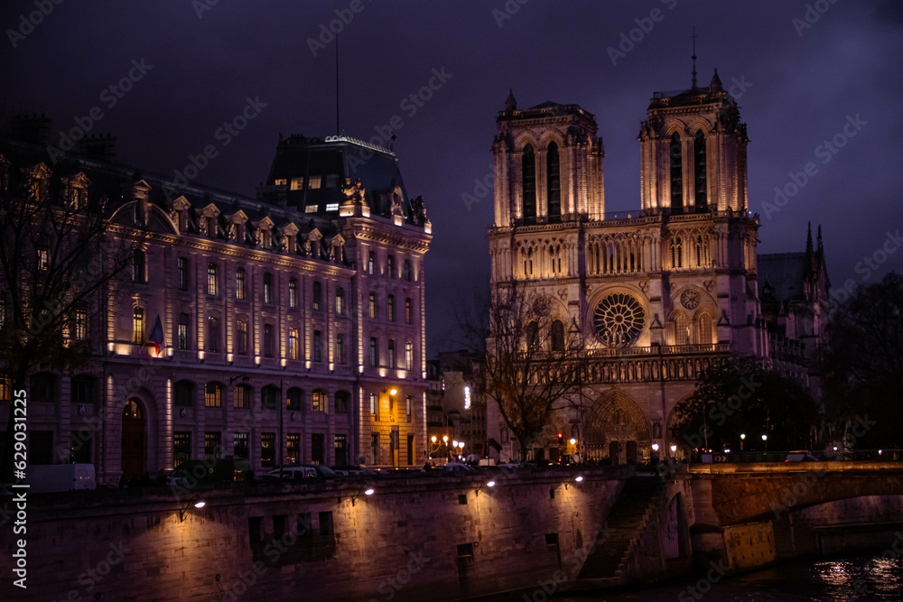 view of notre dame cathedral