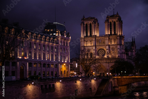 view of notre dame cathedral