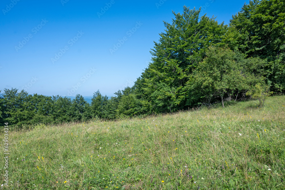 Landscape of Erul mountain near Kamenititsa peak, Bulgaria Landscape of Erul mountain near Kamenititsa peak, Bulgaria