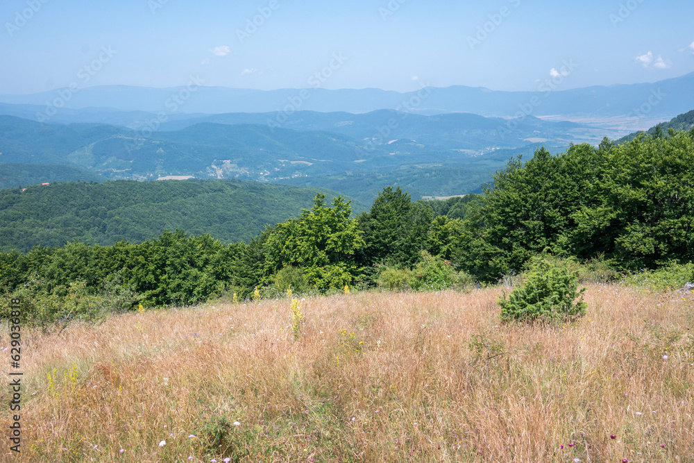 Landscape of Erul mountain near Kamenititsa peak, Bulgaria