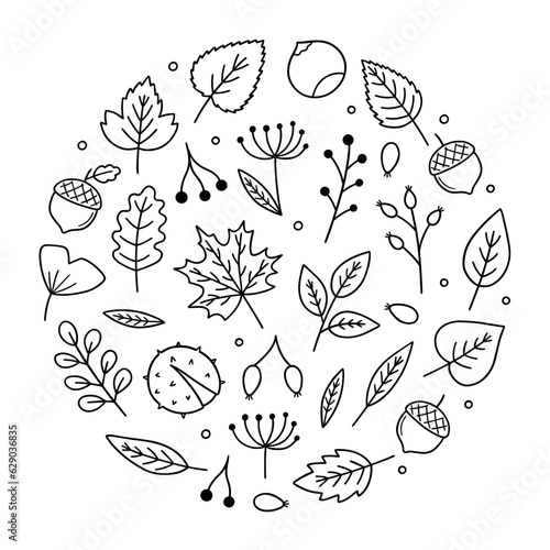 Autumn leaves and berries doodle set. Hello Autumn elements: leaves, herbs, chestnut, acorn in sketch style. Hand drawn vector illustration isolated on white background