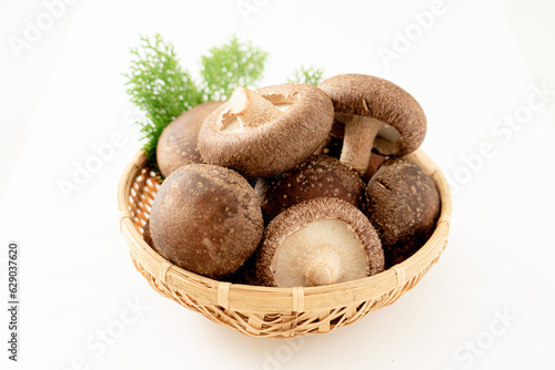 しいたけ籠盛り shiitake mushroom photo