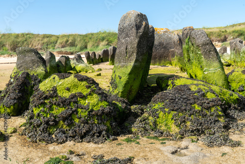 Dolmen von Guinirvit an der Baie von Kernic, Plouescat, Bretagne photo