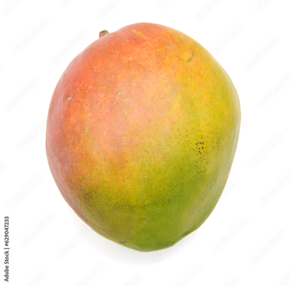 Mango fruits isolated on white background Mango fruits isolated on white background