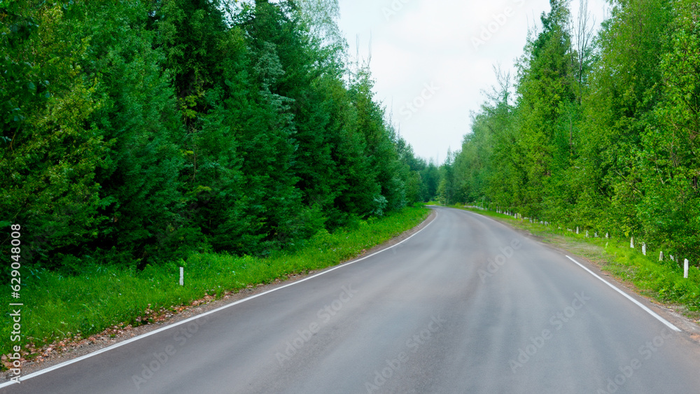 road in the woods