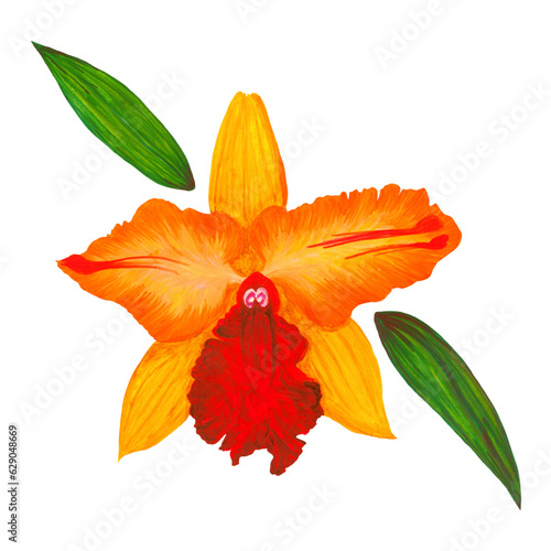 Ilustraci√≥n de orqu√≠dea amarrilla flor ex√≥tica tropical decorativa, tarjetas, poster, papeler√≠a photo