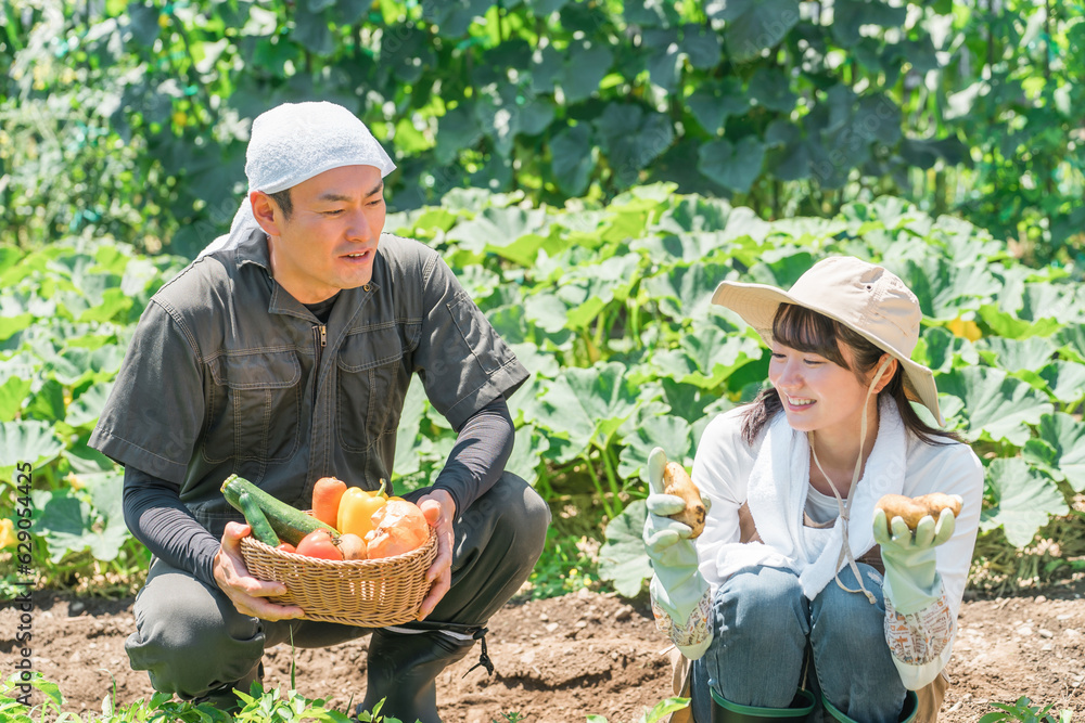 畑で野菜を収穫する農家・生産者の女性・男性・夫婦（アジア人・日本人・中国人）
