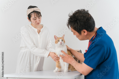 動物病院で獣医師に診察を受ける猫と飼い主のアジア人女性（ペット・エリザベスカラー）
