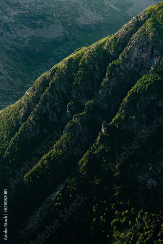 Vertical green details in Norwegian mountains, seen from Smaltind, Luröy, Helgeland, Nordnorge. Luscious green trees on steep mountain walls. High contrast scene in green. Dramatic light Norway fjell. © Pavel