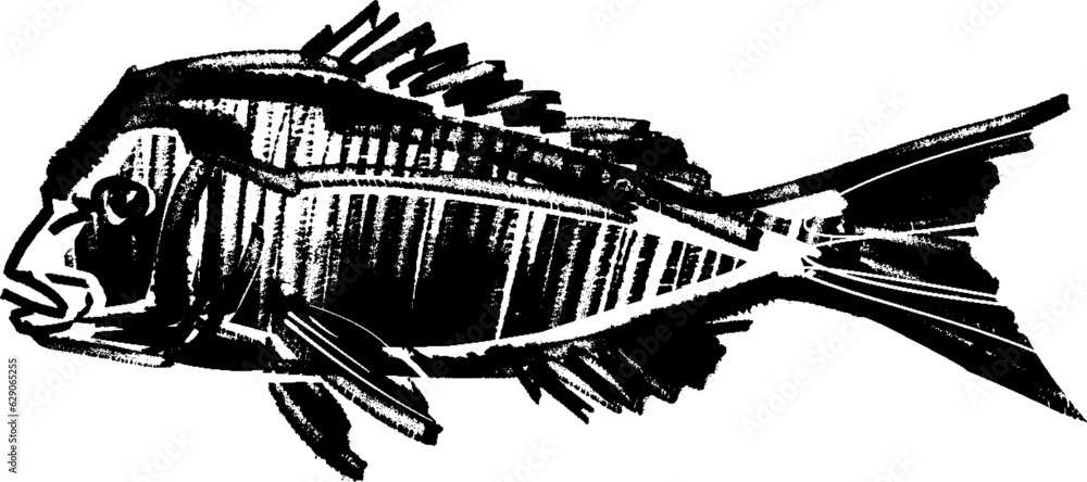 vector sketch of the hand drawn fish