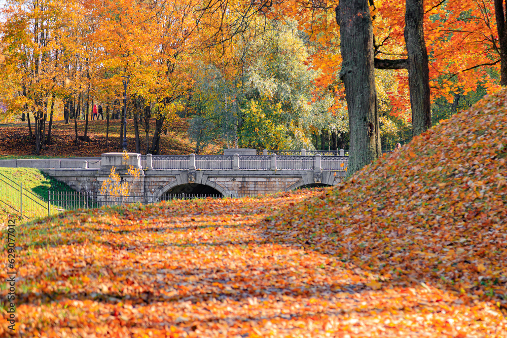 Fototapeta premium Autumn park landscape . Golden autumn in the city park. Photos on the calendar. Season. September, October, November