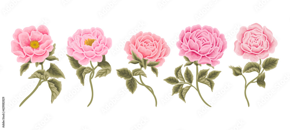 Colorful soft pastel rose, peony flower, and leaf branch hand drawn vector clip art illustration collection for wedding card, invitation, decoration