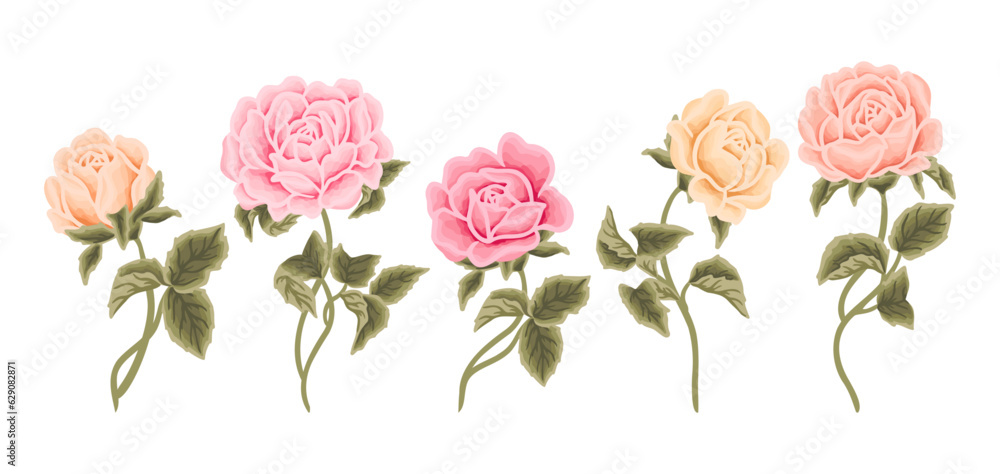Colorful soft pastel rose, peony flower, and leaf branch hand drawn vector clip art illustration collection for wedding card, invitation, decoration