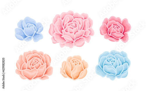 Colorful soft pastel rose and peony flower hand drawn vector clip art illustration collection for wedding card, invitation, decoration