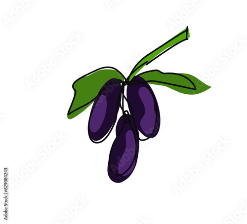 Continuous line or single line of plum Jambolan