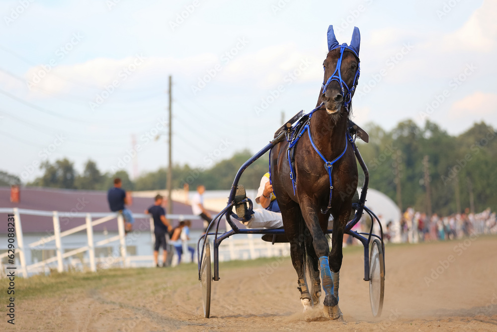 Horses and riders running at horse races Horses and riders running at horse races