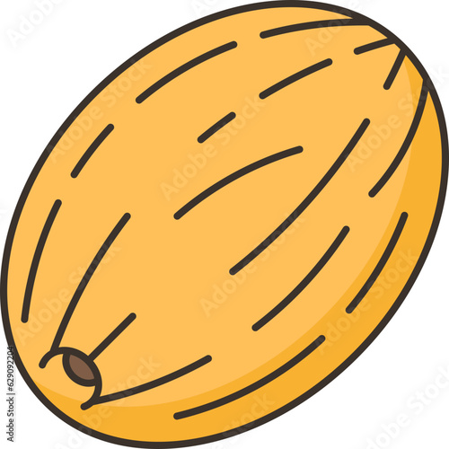 melon  icon