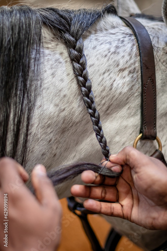 Fotografija braiding a horses mane