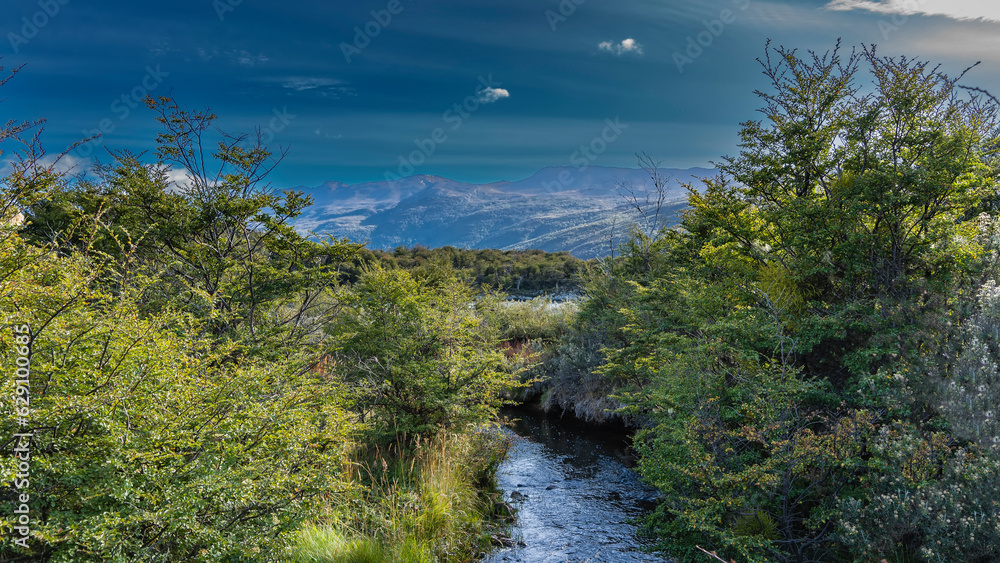 Lush green vegetation - bushes, grass grow on the banks of the stream. In the distance, against the blue sky, a mountain range is visible. Argentina. Tierra del Fuego National Park. Ushuaia.